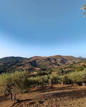 Terreno agricolo panoramico di 9.000 m