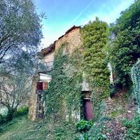 RUSTICO A STELLANELLO