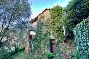 RUSTICO A STELLANELLO