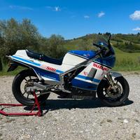 Suzuki rg 500 Gamma
