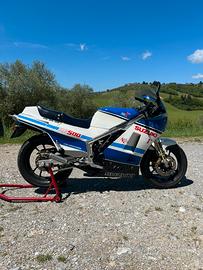 Suzuki rg 500 Gamma