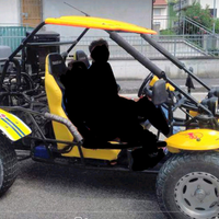 Ricambi buggy thunder 650