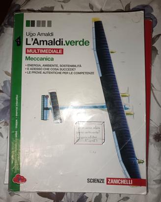 libro di fisica l'amaldi verde