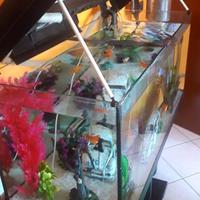 Acquario 200L 