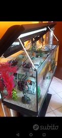 Acquario 200L 