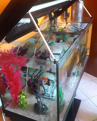 Acquario 200L 
