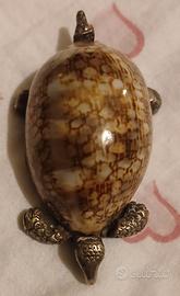 Tartaruga porta pillole