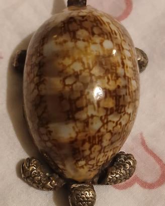 Tartaruga porta pillole