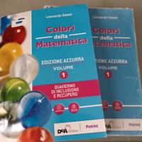 COLORI DELLA MATEMATICA ED. AZZURRA VOL.1, Sasso