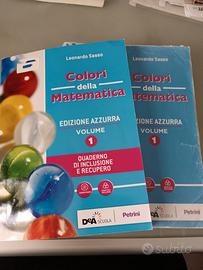 COLORI DELLA MATEMATICA ED. AZZURRA VOL.1, Sasso