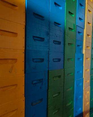 materiale apicoltura apistico