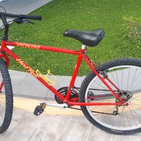 Mountain bike Specialized
