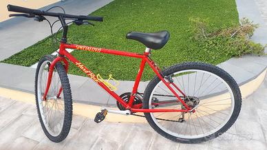 Mountain bike Specialized