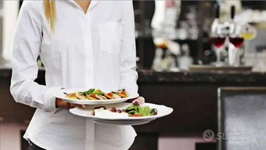 Cameriera da Comis,e aiuto cucina