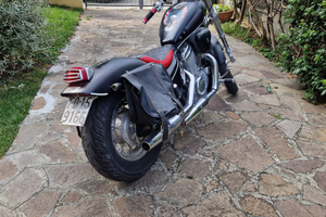 Honda shadow