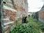 Immagine 22