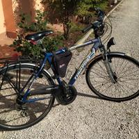 Bici city bike uomo