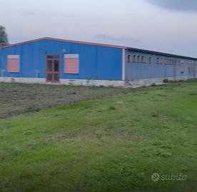 Capannone - terreno industriale