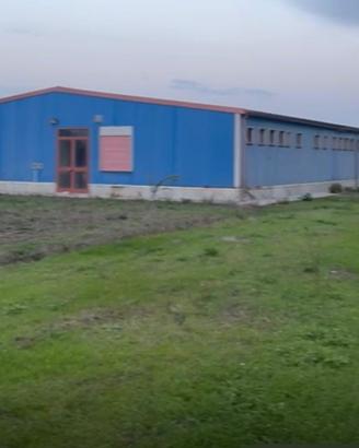 Capannone - terreno industriale