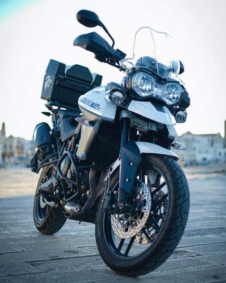 Triumph tiger xrx 800