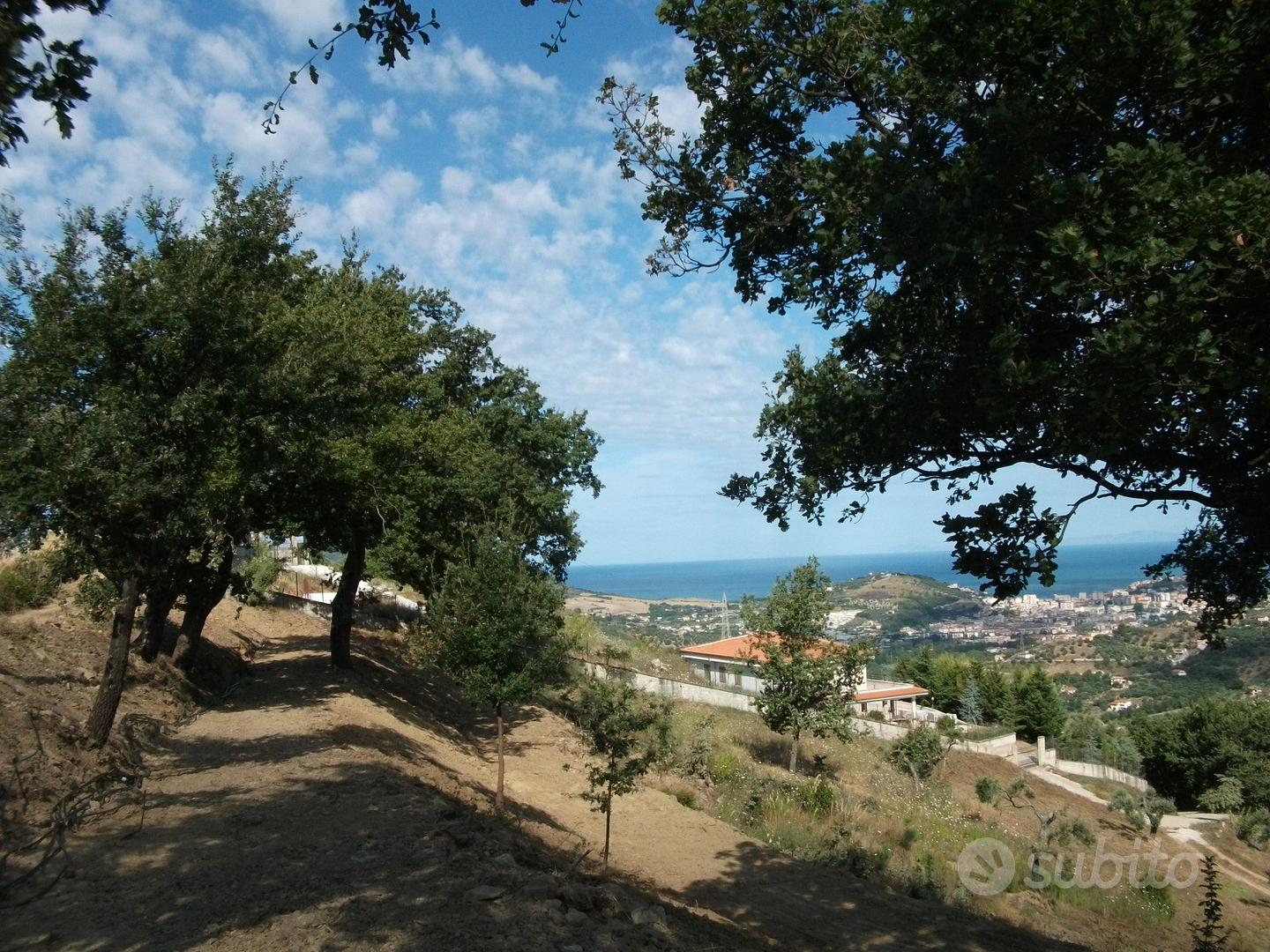 Terreno agricolo costruibile - Vista 3
