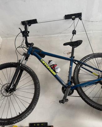 Cannondale Trail 7