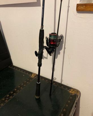 Canna da pesca, mulinello e guadino