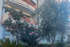 Lama ad.ze cinema Daniela 3vani vista mare