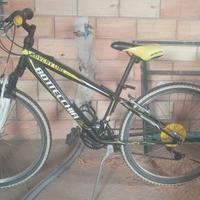 bicicletta  bottecchia 24