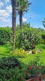 Villetta unifamiliare di 240 mq con ampio giardino