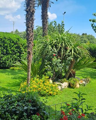 Villetta unifamiliare di 240 mq con ampio giardino