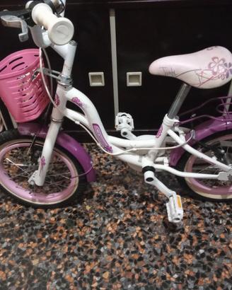 Bicicletta