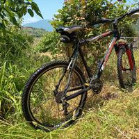 bici Mountain bikr