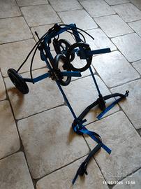carrello cane disabile