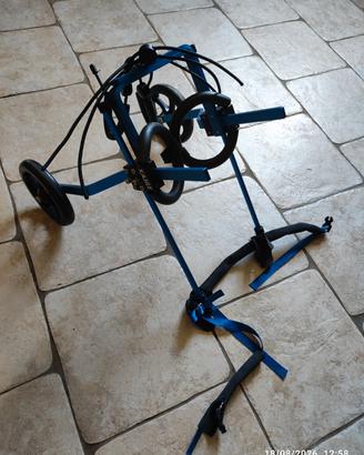 carrello cane disabile