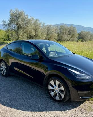 Tesla Model Y AWD Long range Autopilot