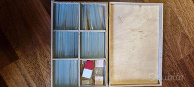 vetrini microscopio amatoriale