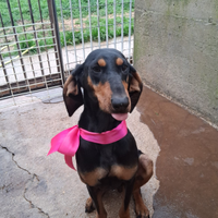 Fiammetta aspetta una speranza