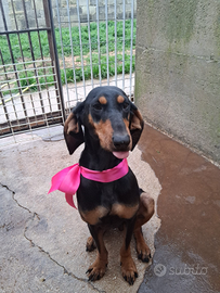 Fiammetta aspetta una speranza