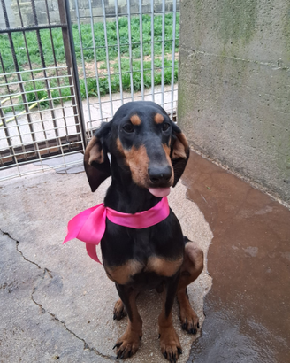 Fiammetta aspetta una speranza