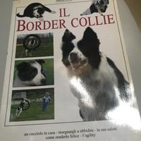 IL BORDER COLLIE. Valeria Rossi. De Vecchi