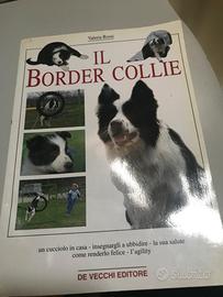 IL BORDER COLLIE. Valeria Rossi. De Vecchi