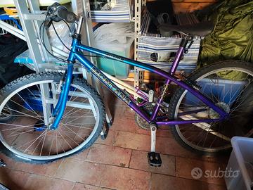 Bici audulto
