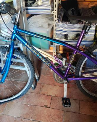 Bici audulto