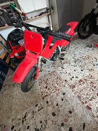 Motocross Grizzly bimbo