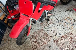 Motocross Grizzly bimbo