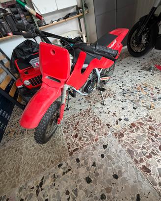 Motocross Grizzly bimbo