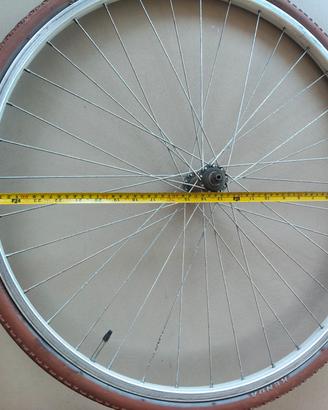 Ruota bici