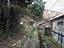 Immagine 11