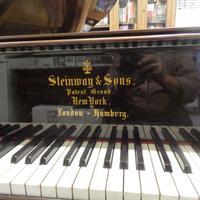 STEINWAY E SONS 3/4 coda mod C in palissandro